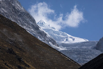 HIMALAYAN BEAUTY